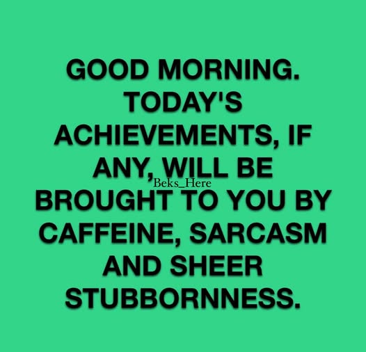 GOOD MORNING AND HAPPY FRIDAY!!!
I have plans to get things done today.
Oh, we know better, right?