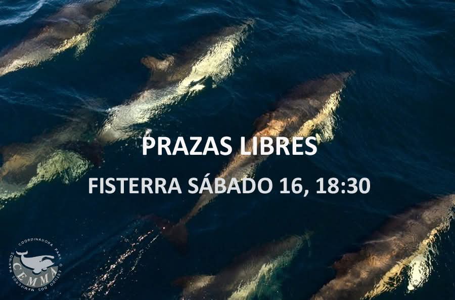 (Gal) Prazas libres para a saída de mañán dende Fisterra. Máis info en cemma.org/embarcate.htm

(Esp) Plazas libres para la salida de mañana desde Fisterra. Más info en cemma.org/embarcate_cas.…