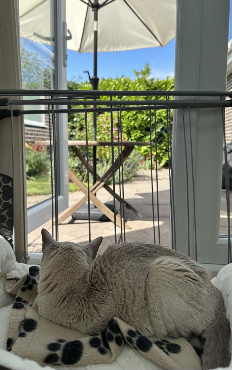 Living her best life ❤️ almost 21 years