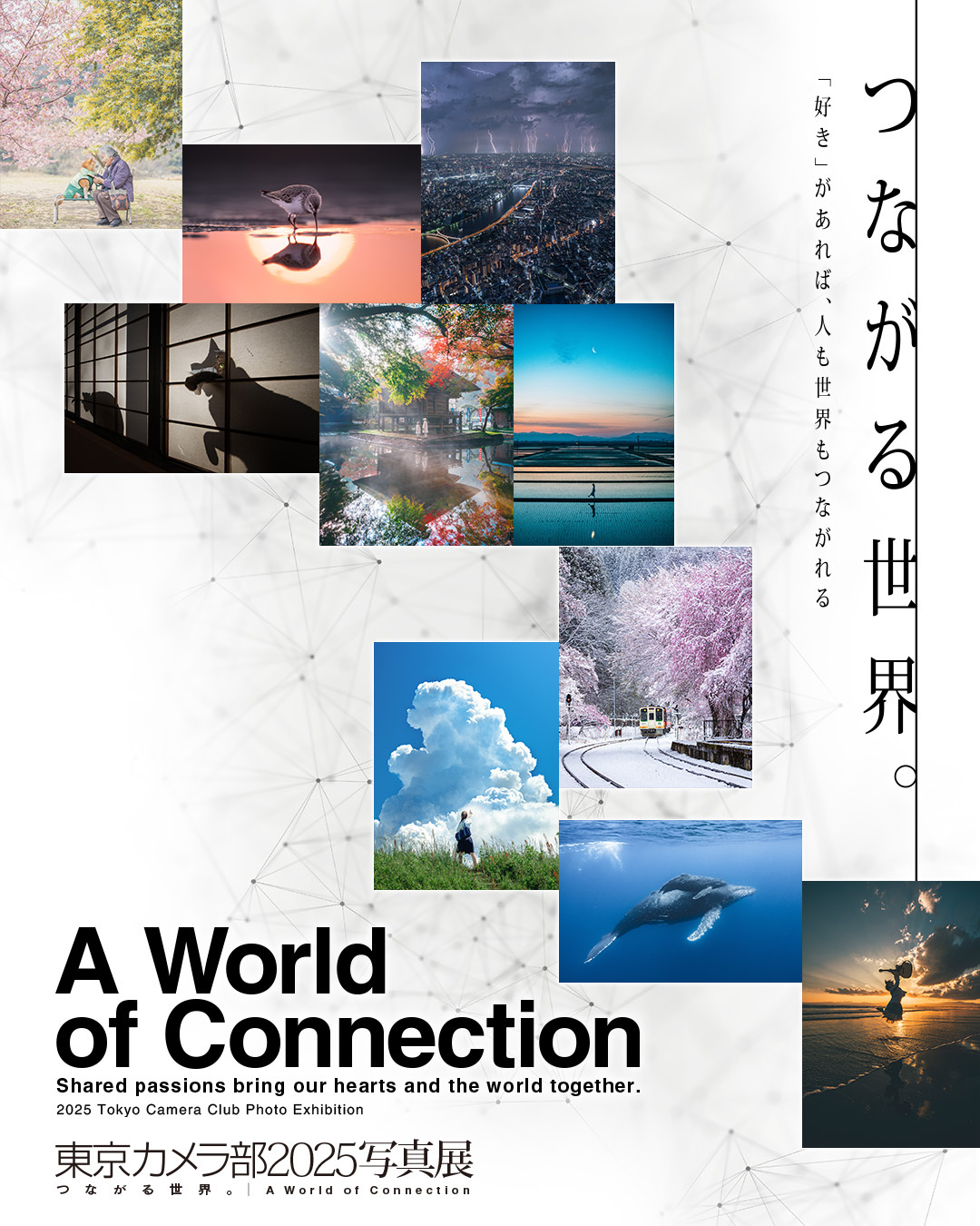 東京体　東京物産 写真集 2冊セット　TAKIURA HIDEO サイン本】『TOKYO STYLE』Kyoichi Tsuzuki 出版社：APARTAMENTO
