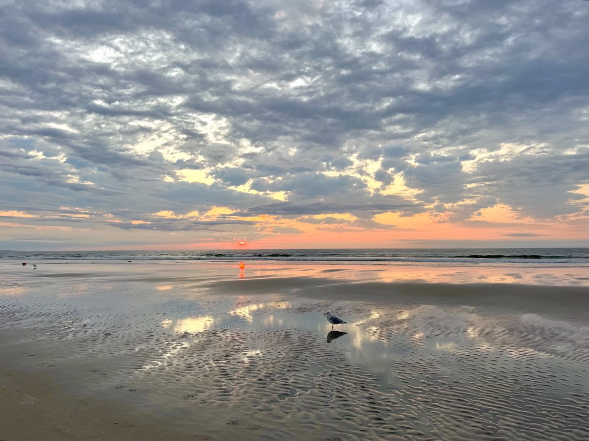 Realtor Rick 💙 (@rick03907) on Twitter photo Morning reflections #ogunquit #maine <a href="/Ted_WMTW/">Ted McInerney</a> <a href="/TStackhouseWMTW/">Terry Stackhouse</a> <a href="/JessicaGagneTV/">Jessica Gagne</a> <a href="/jazulay_news/">Jamie Azulay</a> <a href="/colleenhurleywx/">C❄️lleen Hurley</a> <a href="/NorahHoganWMTW/">Norah Hogan</a> <a href="/StormHour/">#StormHour</a> <a href="/WMTWTV/">WMTW TV</a> Morning reflections #ogunquit #maine <a href="/Ted_WMTW/">Ted McInerney</a> <a href="/TStackhouseWMTW/">Terry Stackhouse</a> <a href="/JessicaGagneTV/">Jessica Gagne</a> <a href="/jazulay_news/">Jamie Azulay</a> <a href="/colleenhurleywx/">C❄️lleen Hurley</a> <a href="/NorahHoganWMTW/">Norah Hogan</a> <a href="/StormHour/">#StormHour</a> <a href="/WMTWTV/">WMTW TV</a>