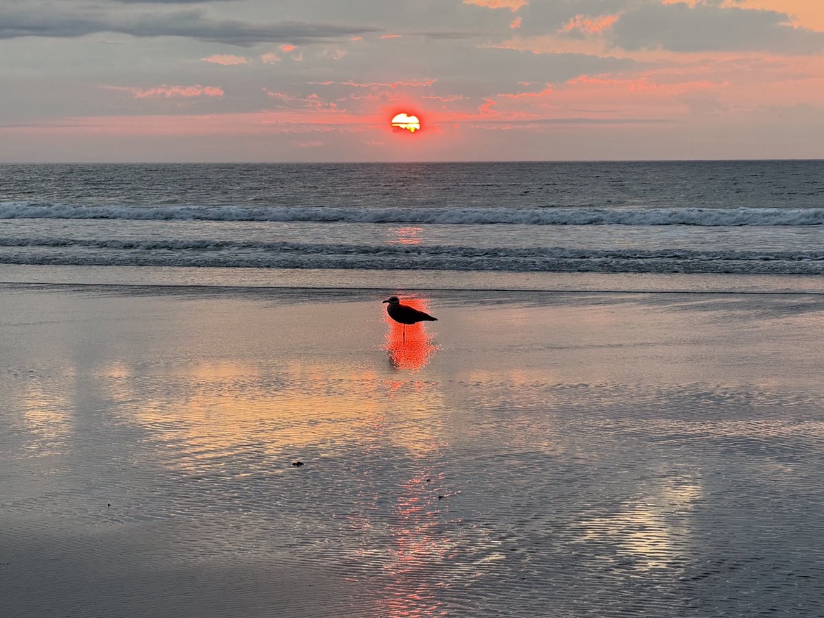 Realtor Rick 💙 (@rick03907) on Twitter photo Friday!!! #ogunquit #maine <a href="/KatieWGME/">Katie Sampson</a> <a href="/ChristianWGME/">Christian Bridges 🌩️</a> <a href="/AysiaWGME/">Aysia Reed</a> <a href="/EmilyWGME/">Emily Santom</a> <a href="/DanWGME/">Dan Lampariello</a> <a href="/TheMalMeyer/">Mal Meyer</a> <a href="/LaurenOHealy/">Lauren Healy</a> <a href="/RyanWGME/">Ryan Munn</a> <a href="/MaffeiInTheMorn/">Johnny Maffei</a> <a href="/StormHour/">#StormHour</a> <a href="/WGME/">CBS 13 News</a> Friday!!! #ogunquit #maine <a href="/KatieWGME/">Katie Sampson</a> <a href="/ChristianWGME/">Christian Bridges 🌩️</a> <a href="/AysiaWGME/">Aysia Reed</a> <a href="/EmilyWGME/">Emily Santom</a> <a href="/DanWGME/">Dan Lampariello</a> <a href="/TheMalMeyer/">Mal Meyer</a> <a href="/LaurenOHealy/">Lauren Healy</a> <a href="/RyanWGME/">Ryan Munn</a> <a href="/MaffeiInTheMorn/">Johnny Maffei</a> <a href="/StormHour/">#StormHour</a> <a href="/WGME/">CBS 13 News</a>