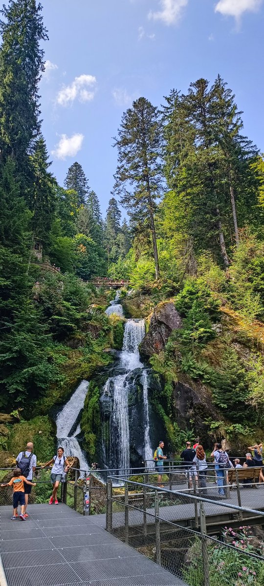 Sylvain (@tibouland) on Twitter photo 