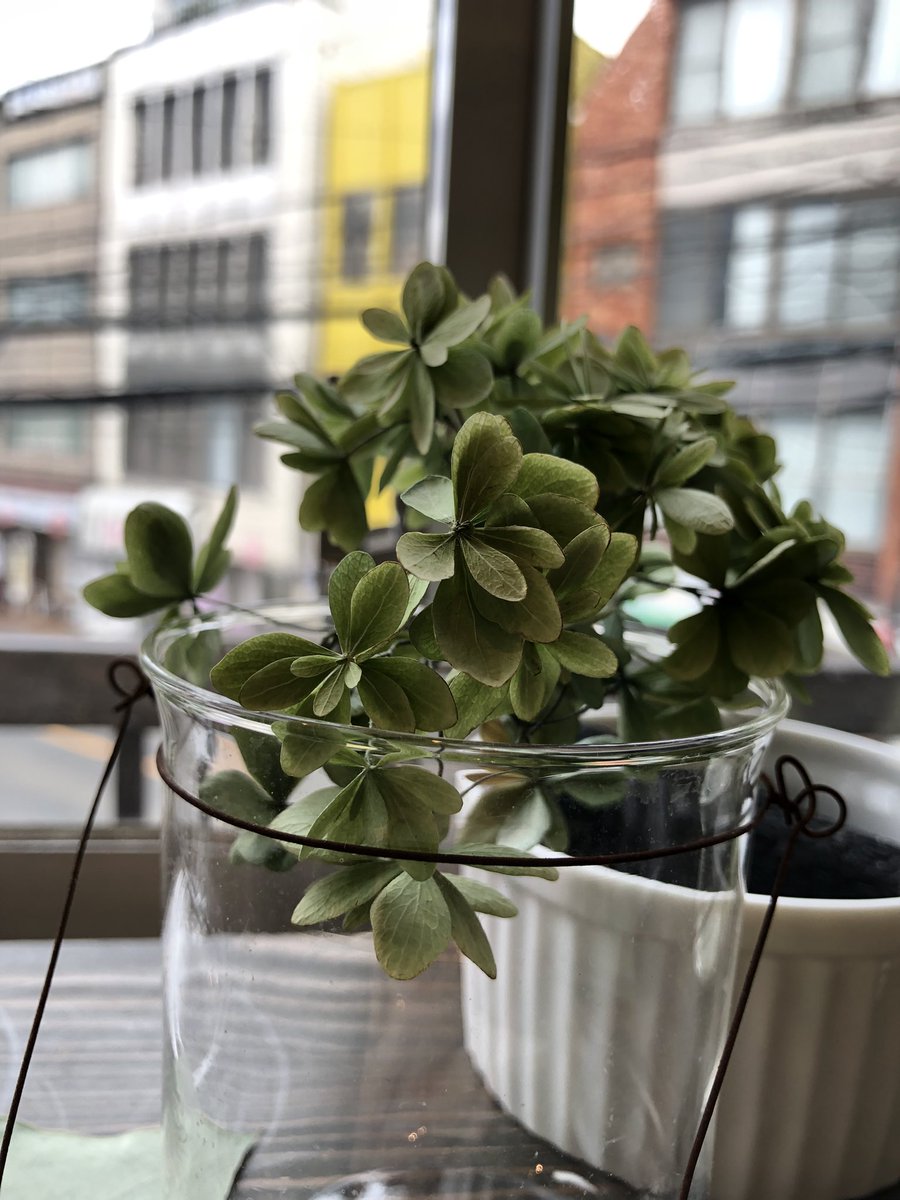 本日の21時よりBASEにて通販致します。〜28日（木）までとします。

＊1万円以上の作品は会期後の発送となります。
＊店頭での展示期間と被りますので突然削除もございます。
＊追加納品分はなるべく早く追加予定ですが来店の方優先です。
＊土日の発送はございません。

以上をご了承下さい。