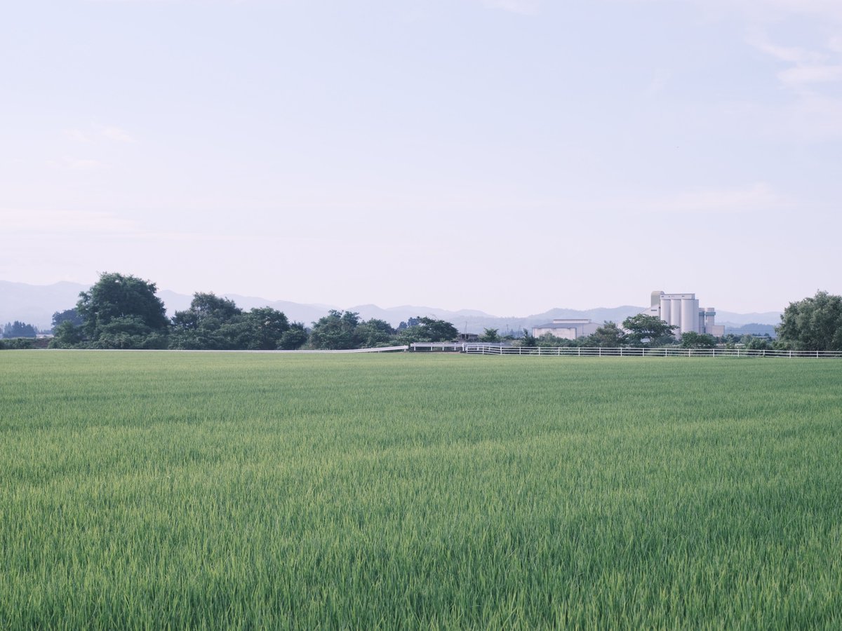 𝚖𝚘𝚗𝚔𝚢𝙳𝙸𝙾 (@monkydio) on Twitter photo 