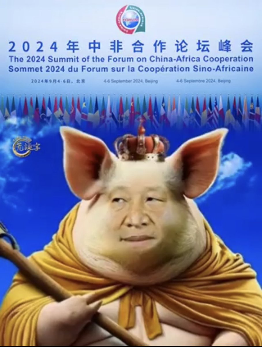 wsccptohell's tweet photo. @sun_crosser 继续，来看你的习大便哦不习大大 #习近平 https://t.co/UGYWaLL5dr