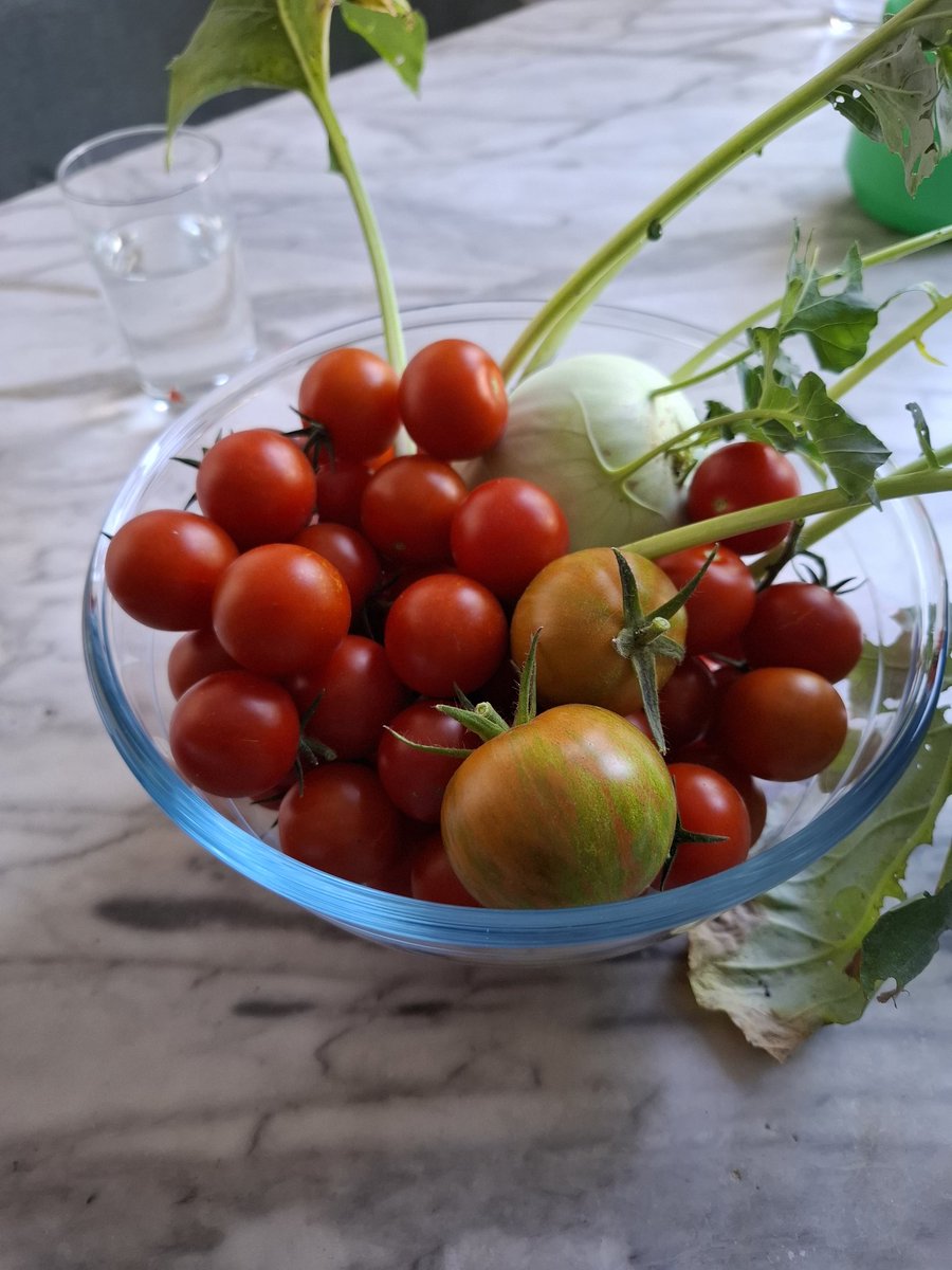 janraudszus's tweet photo. Hier wurden schon viele Verschwörungstheorien präsentiert. Auf Widerspruch wurde oft mit: "Wart's ab" reagiert. Ich habe abgewartet. Wenn ich jedes Mal einen Euro bekommen hätte, für jede Verschwörungstheorie, die nicht eingetreten ist, könnte ich die GKV sanieren. Anyway... https://t.co/ABmomhCegT