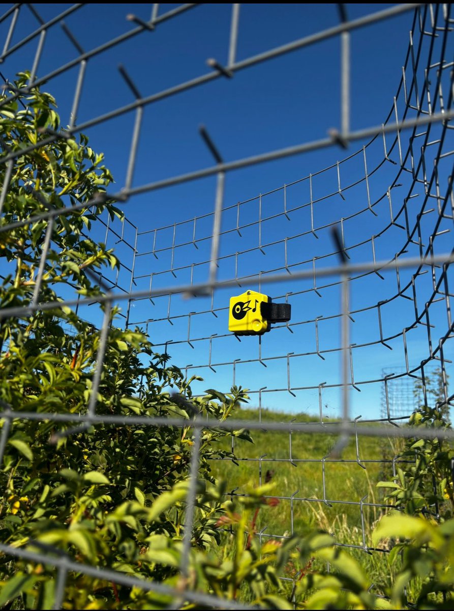 CarbonCallFarm's tweet image. 💬 “We host Carbon Calling every year here and you want to be able to give people the data to prove what you’re actually feeling is changing.”

Our host Tim Nicholson @CactusTreeGuard on using Chirrup.ai bird listening tech. 
#regenag #biodiversity #agritech