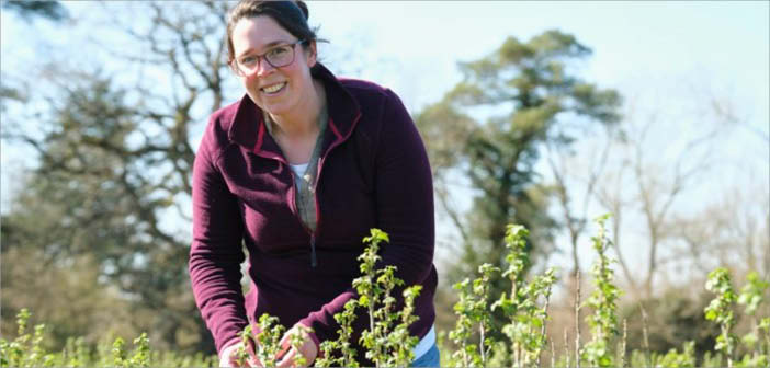 Suntory Beverage and Food GB&amp;I invests £920,000 into Ribena berry resilience

Read more via #HortNews &gt;&gt; hortnews.com/articles/horti…

<a href="/SuntoryBF_GBI/">Suntory Beverage & Food GB&I</a> <a href="/RibenaUK/">Ribena</a>  #blackcurrant