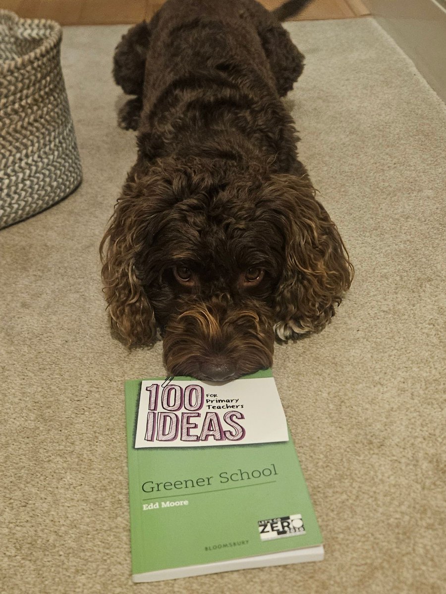 For every book sold Molly scores a treat! 🐾

#environment #climateaction #education #GreenerSchool #regeneration #doglife 

<a href="/KidsBloomsbury/">Bloomsbury Kids & YA UK</a>