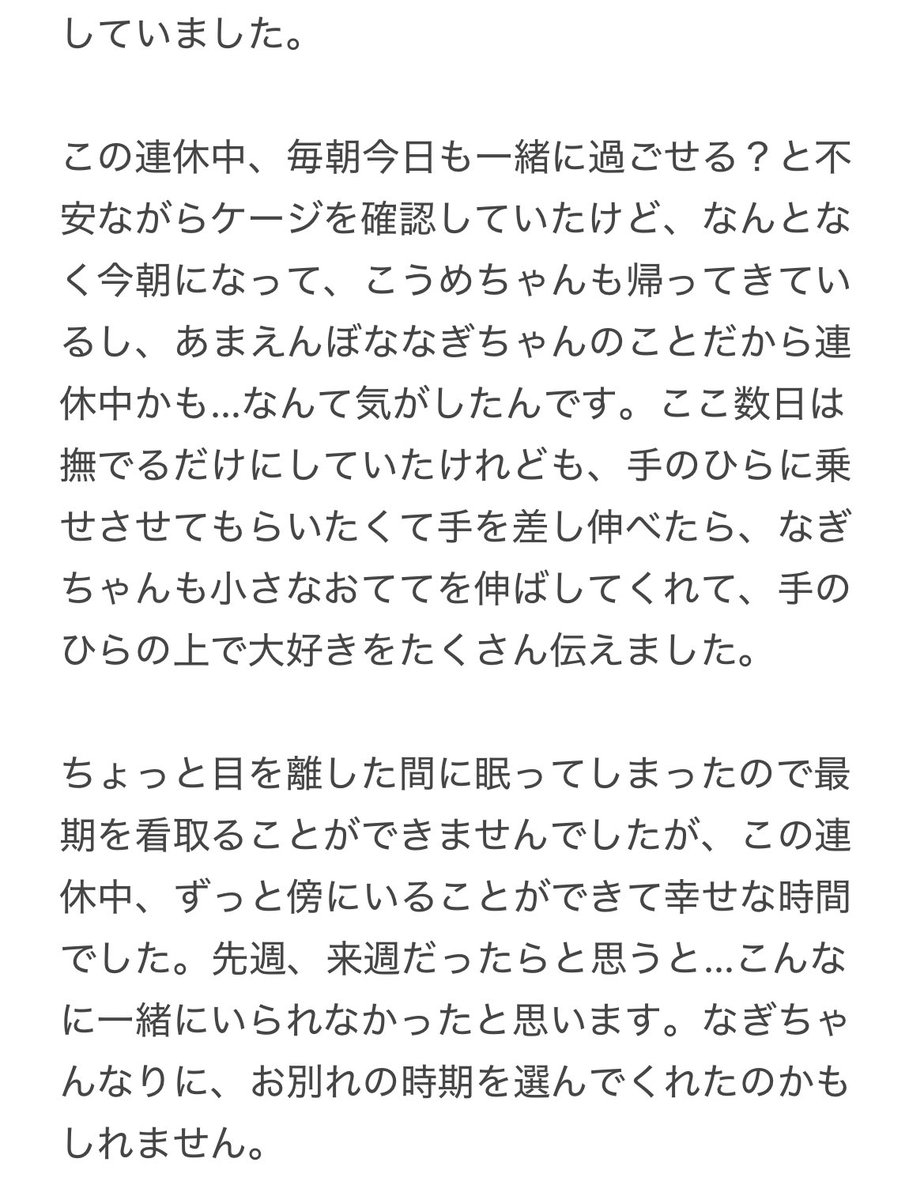 こうめ❀.*・゚なぎ❁⃘*.゚ tweet media