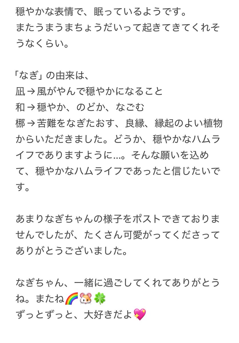 こうめ❀.*・゚なぎ❁⃘*.゚ tweet media