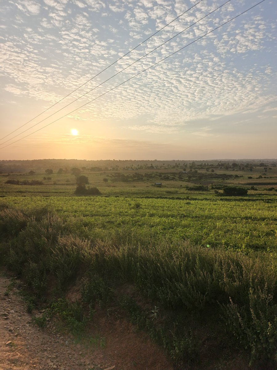 mineralman tweet media