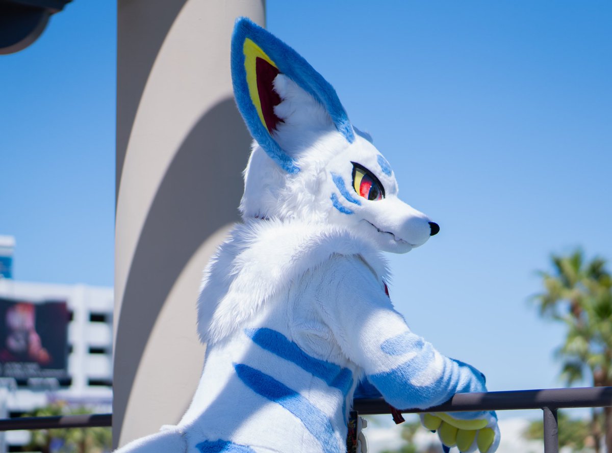 PajraGaoGao's tweet photo. Thinking of you。。。☁️🌥️☁️

#lvfc2025 #FursuitFriday https://t.co/iA4uUASbpu
