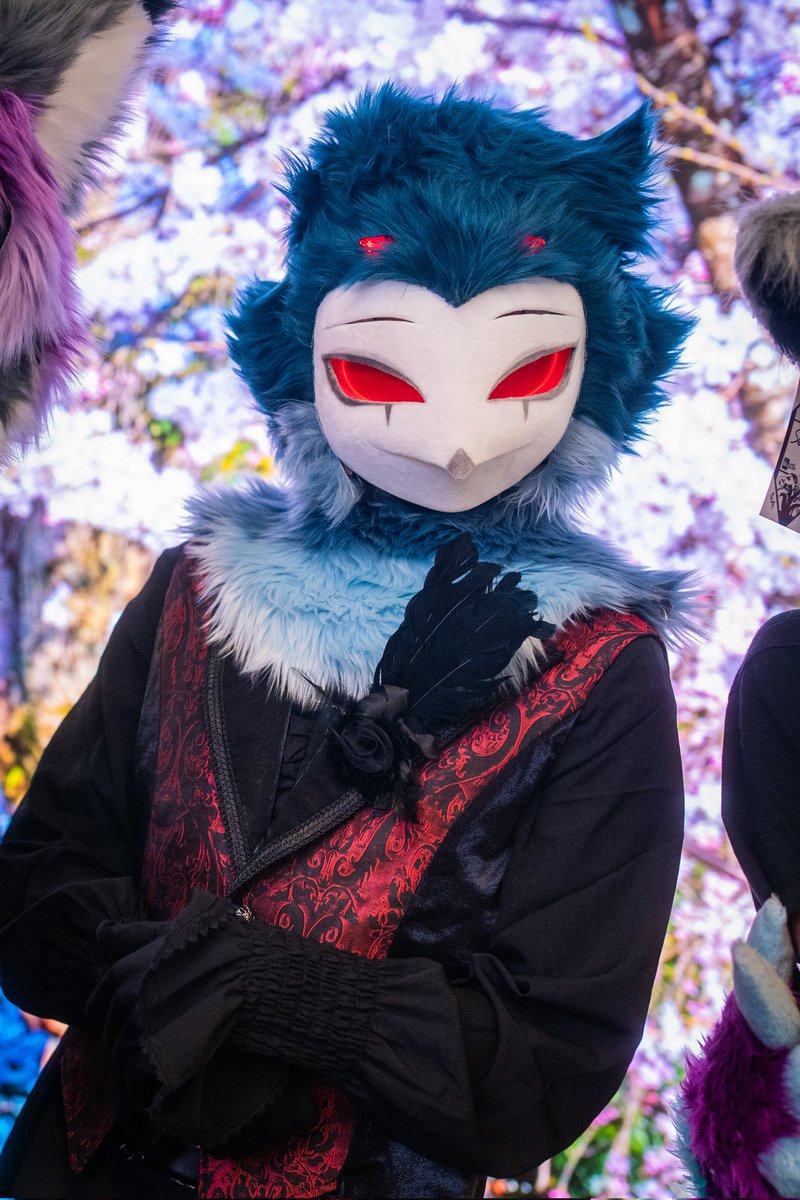 Aninite 2025
Thank you @heypupluna for the pic :3

#stolas #StolasCosplay #fursuit #furry #helluvaboss #cosplay