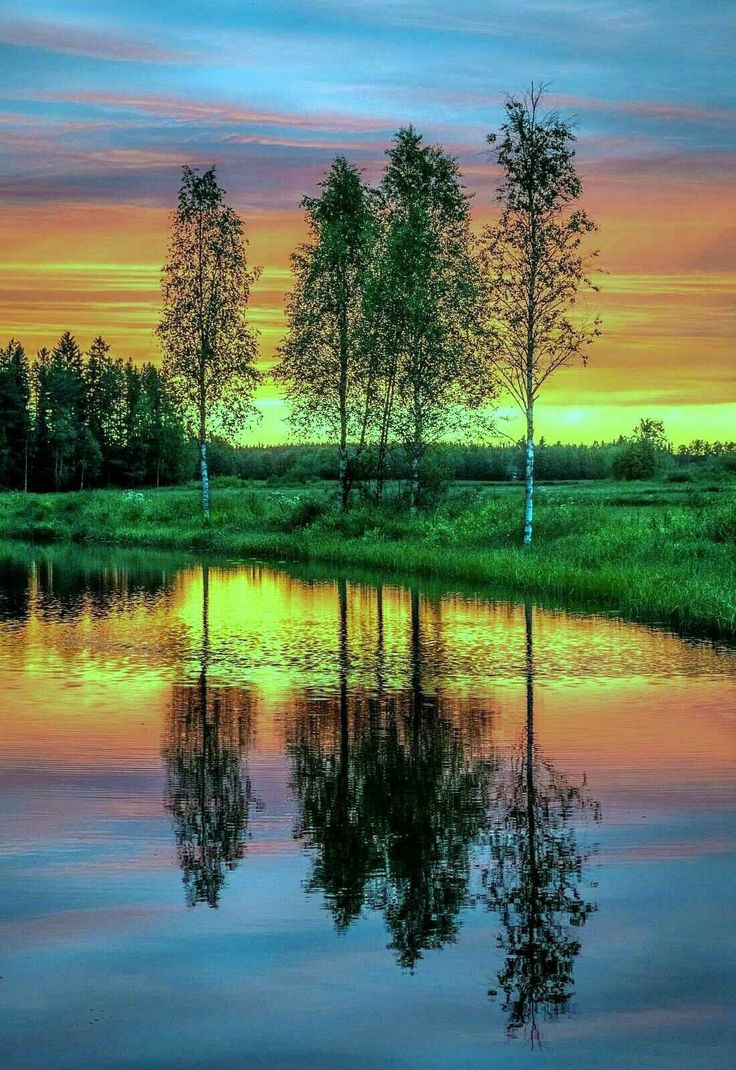 DENE'S WORLD (@dalan99618) on Twitter photo 