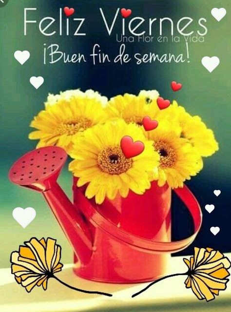 <a href="/ahinamendez/">ahinamendez DM 🚫</a> 
Buenos días Ahina bonita 😘