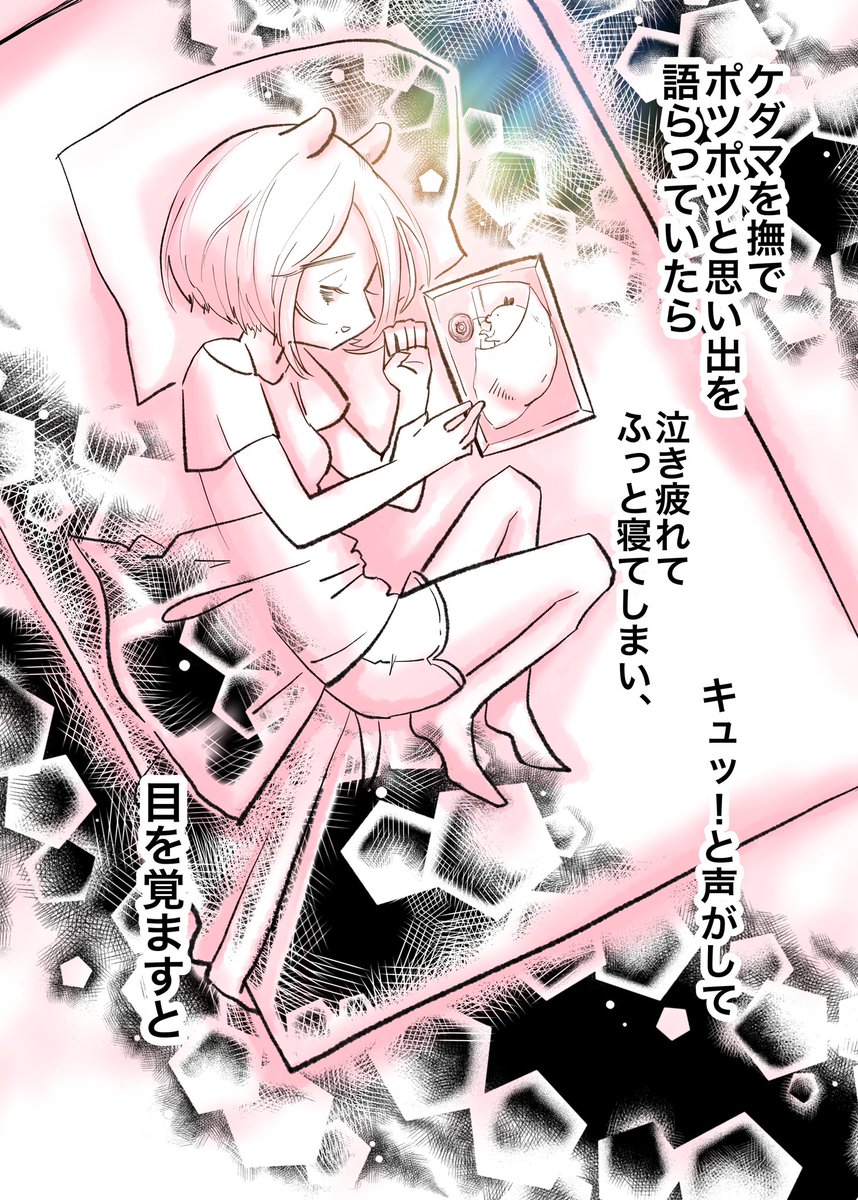 ハムスター狂人卍ちゃん🐹12/14福島コミティア【え06】 tweet media