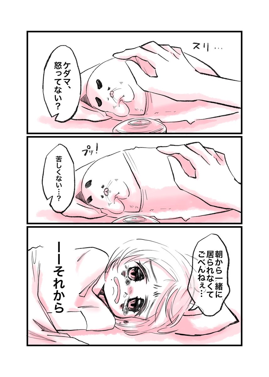 ハムスター狂人卍ちゃん🐹12/14福島コミティア【え06】 tweet media