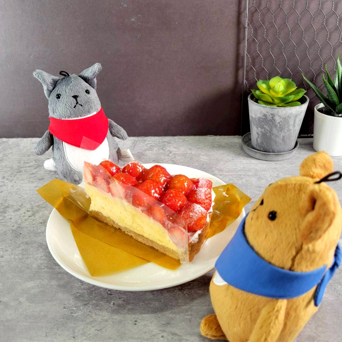 sunpro_info's tweet photo. ●本日は誠誕生日③●

満「今年は褒めてほしいものだよ？去年みたいにいきなりじゃなくてちゃんとアポも取ったし。あ、あと酎ハイも買ってきたから飲もう！」
誠「アポ…？…あれがか？つーか酒、買い込みすぎだろ」
満「クソ妬ましい豪華ディナーを堪能してきたであろうクソセレブ坊ちゃまを祝うには素面ではさすがに無理があるでしょ」
誠「口、悪ぃぞ」
満「はいはい、すみません～。誠相手には今更でしょ」
誠「（苦笑）……だな」

#須貝誠生誕祭2025