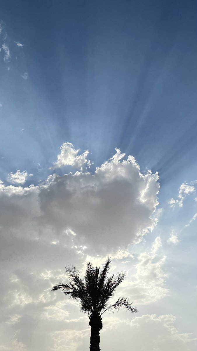 من لايفهم صمتي لن يستوعب كلماتي 
#تصويري