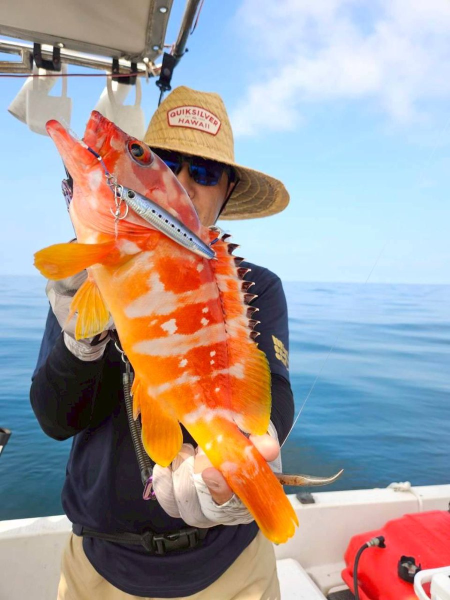 バカスカ釣れる。
ありがとう、mizubeさん！