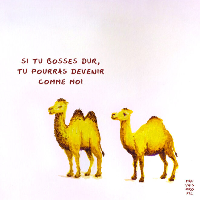 Si la noblesse affirme tenir son rang par le sang, la bourgeoisie semble justifier sa domination dans l'ordre social par le mérite et l'illusion qu'il est accessible à qui décide de fournir les efforts nécessaires.