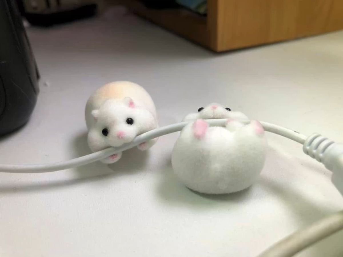 /ᐠ - ˕ -マ tweet media