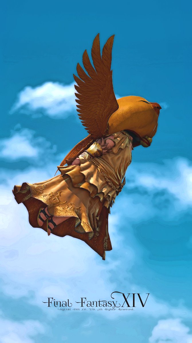 人間大砲で空を翔けるチョコボ🐥