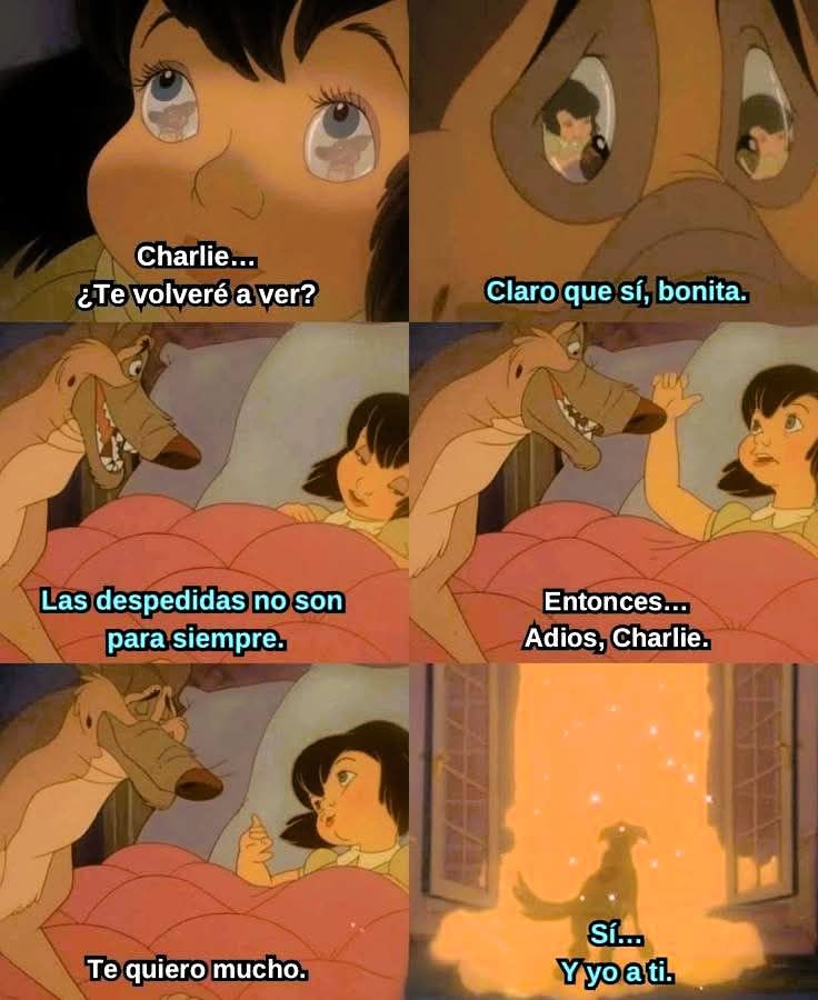 Aguante BOCA tweet media