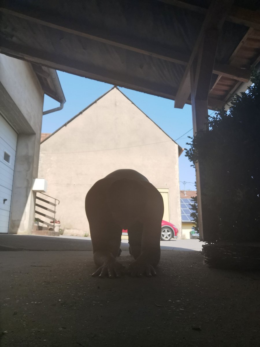 Photo de midi à 13h 📸

Se soumettre à <a href="/Spoil_Eva/">💫𝗣𝗿𝗶𝗻𝗰𝗲𝘀𝘀 𝗘𝘃𝗮 💫👑</a> se fait naturellement tant elle impose son charisme, je la remercierai toujours de m'avoir accepter et de me façonner comme elle le désire 😊

Soumis soumission findom findomfr feet femdom feetfetish domina goddess debt blackmail