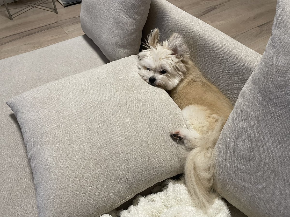 ぽんた (@p_190224) / Posts / X