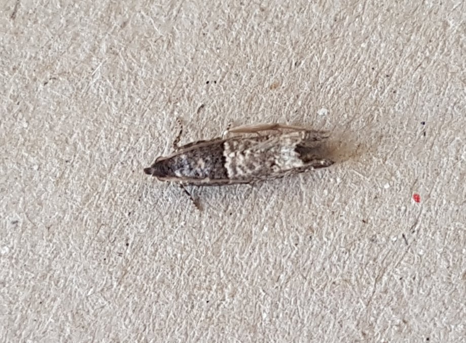 Mark Andrews tweet media