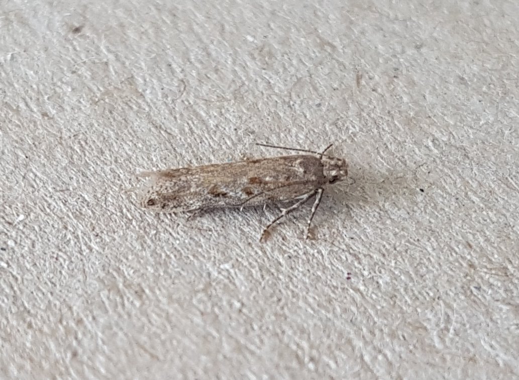 Mark Andrews tweet media