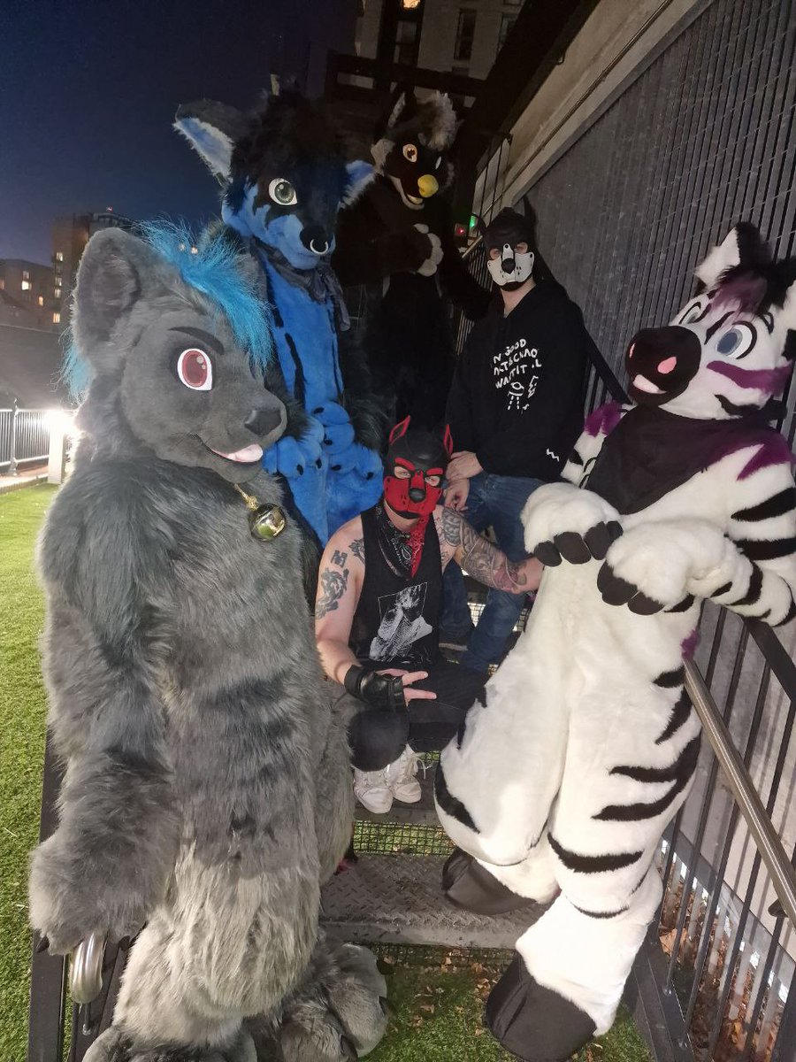 Please look out for our EP. We go on tour next year. #Reginamals 
<a href="/StripeyZebraBoy/">Stripey Zebora</a> <a href="/bytecache/">Byte</a> <a href="/Rai_Pup/">🏳️‍🌈 (Tokaine) Puppy Rai 🏳️‍🌈</a> <a href="/UK_Shordy/">Shordy</a> <a href="/HowlyWowly/">Howl but with Horns</a>