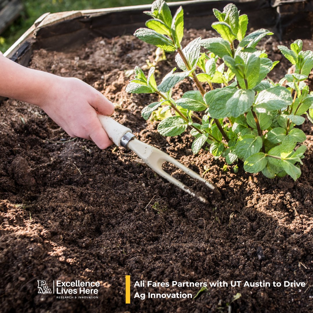Congrats to Dr. Ali Fares of PVAMU on securing nearly $19K from UT Austin to advance sustainable agriculture research!

Read more here:
pvamu.edu/research/post/…

#PVAMU #PVAMUResearch #R2 #UTAustin