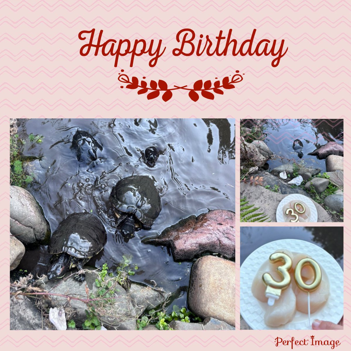 Lieve <a href="/Turtleka/">5 🄷🄾🄵🄳🄰🄼🄴🅂 🐢🐢🐢🐢🐢</a>  gefeliciteerd met jullie dertigste verjaardag lieve meisjes !!!! 
💚🐢🐢🐢🐢🐢💚