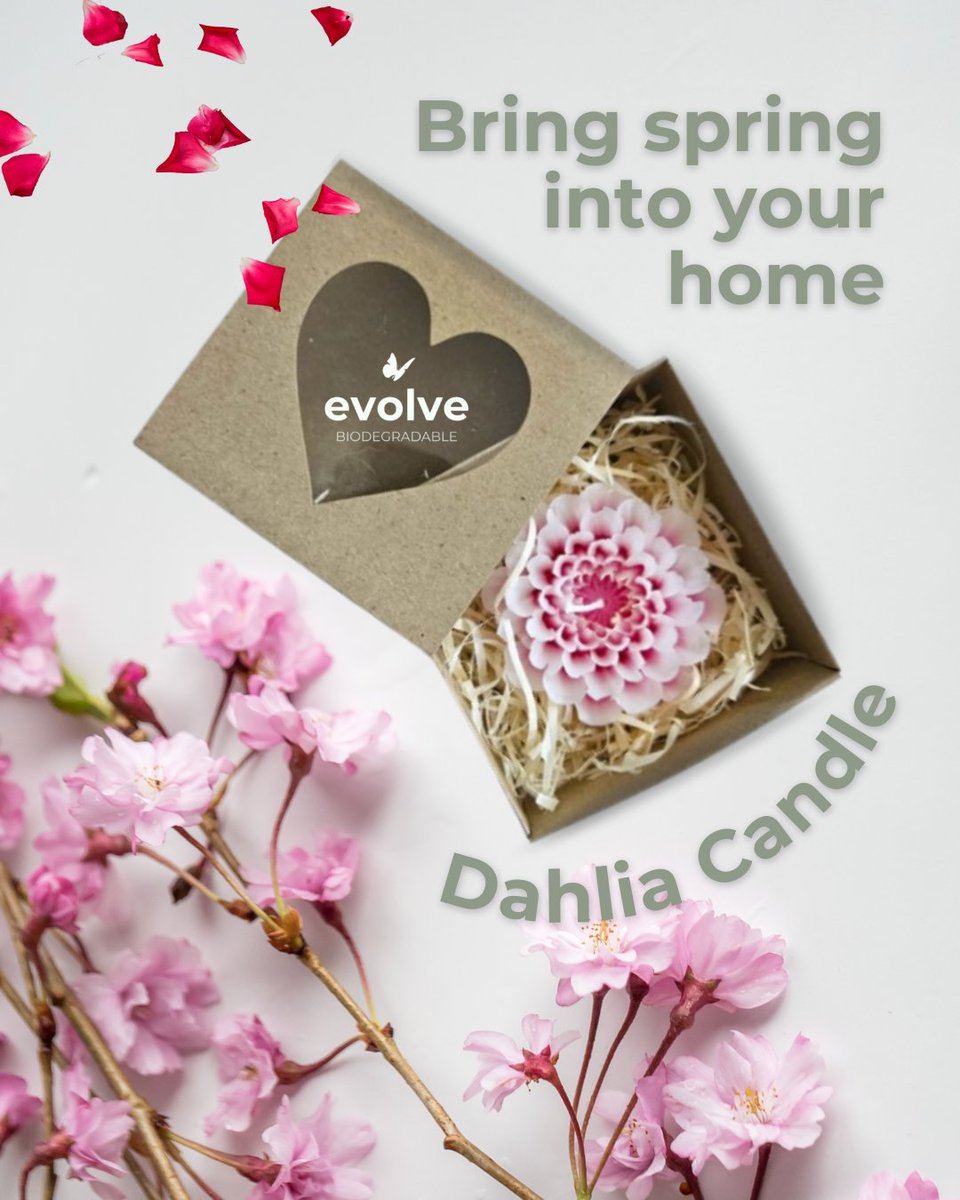 Spring is here! 🌷 Celebrate with the beautiful Dahlia Candle, a flower that never fades! (Unless you burn it)