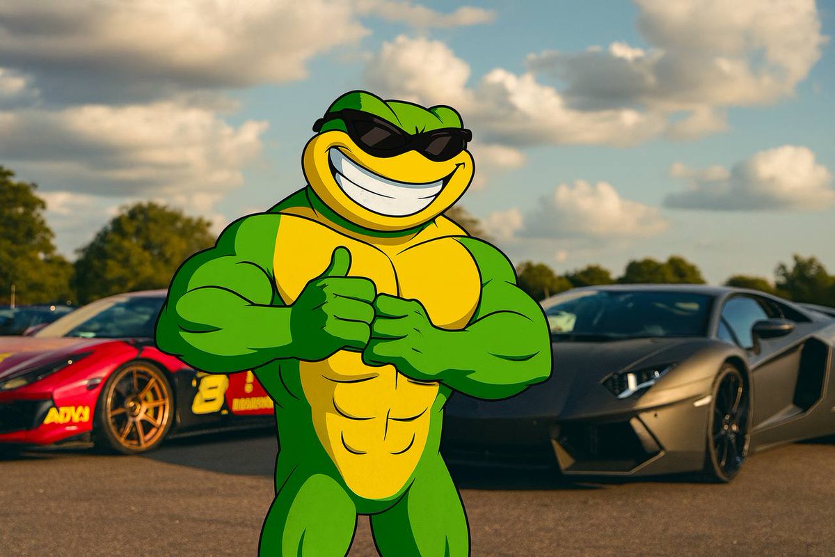 The Battletoads - $TOADS tweet media