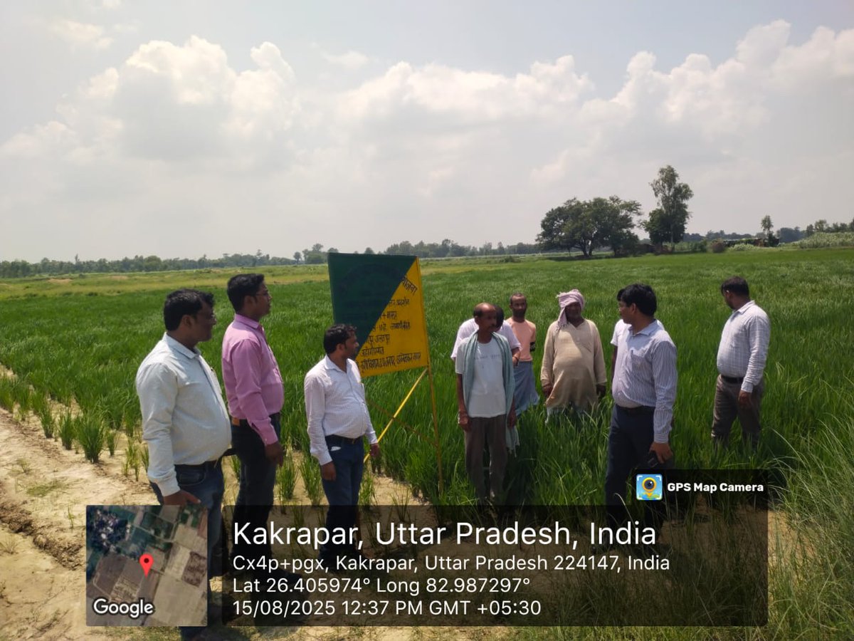 आज दिनांक 15/08/2025 को उप कृषि निदेशक महोदय द्वारा विकास खण्ड जहांगीरगंज अन्तर्गत  काकरापार ग्राम में फसल पद्धति आधारित NFSM योजनांतर्गत क्लस्टर प्रदर्शन का निरीक्षण किया गया।
<a href="/jdabureau/">Krishi Vibhag Gov UP</a> <a href="/spshahibjp/">Surya Pratap Shahi</a>