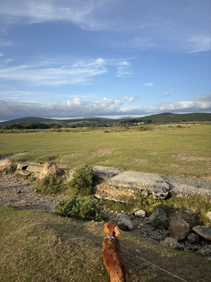 Making the most of the summer break with sunshine, Dartmoor hikes, &amp; coastal walks, plus plenty of quality time with friends &amp; family. A perfect reminder of the importance of work-life balance &amp; taking time to recharge. Feeling grateful to call beautiful Devon &amp; Cornwall home.