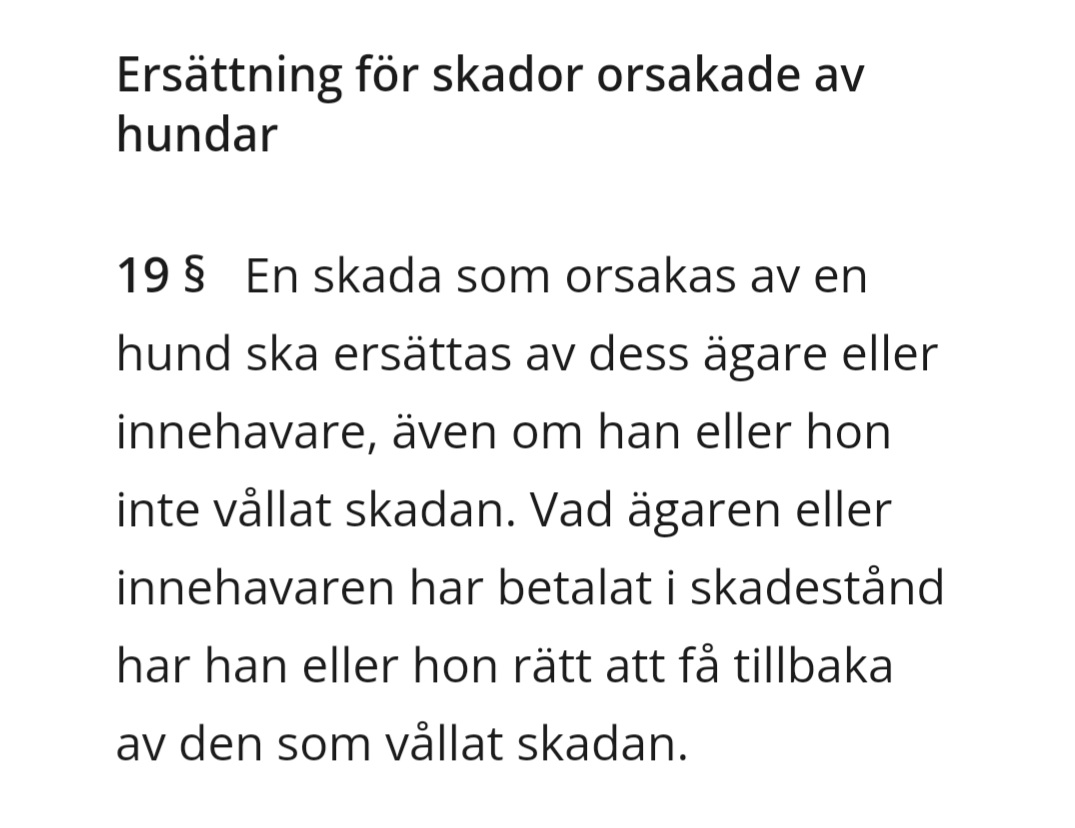 I Sverige råder strikt ansvar för hundägare. Följande gäller enligt 19 § tillsynslagen: