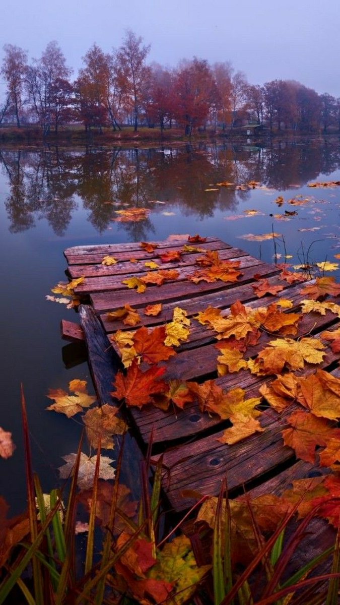 NosCalanGaeaf's tweet photo. Autumn vibes 🍂🎃 https://t.co/tL79NyCJff