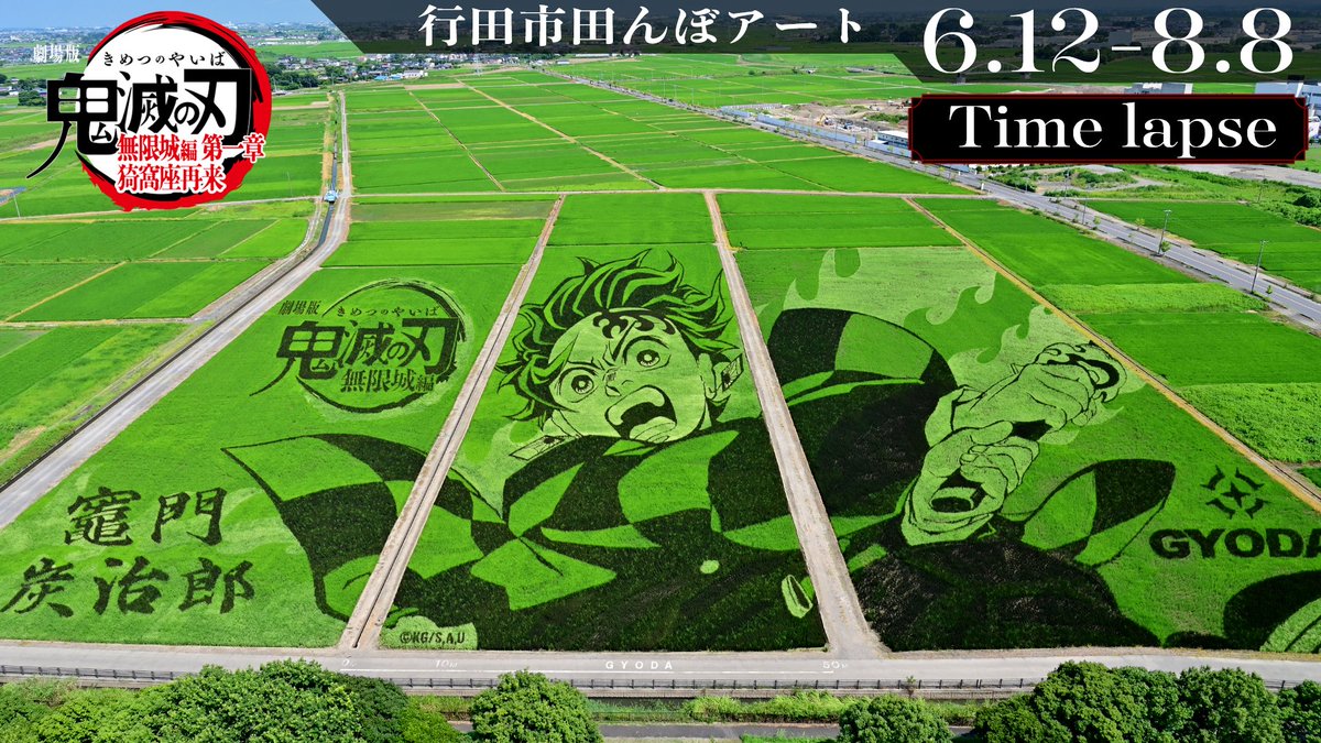 行田市田んぼアート】 田んぼアートの見頃を記念して 6月12日から8月8