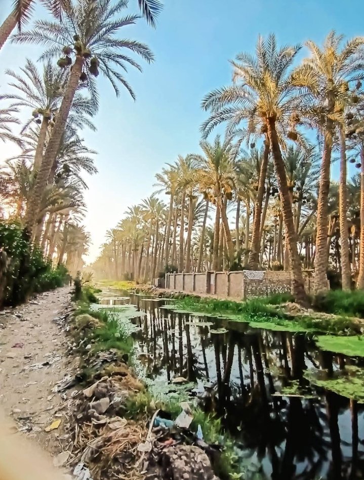 "العدالة... ليست مجرد كلمة. إنها وعد بالمساواة، وصوت للضعيف، وحق لكل إنسان."
#نبض_العدالة
#ساعة_استجابة