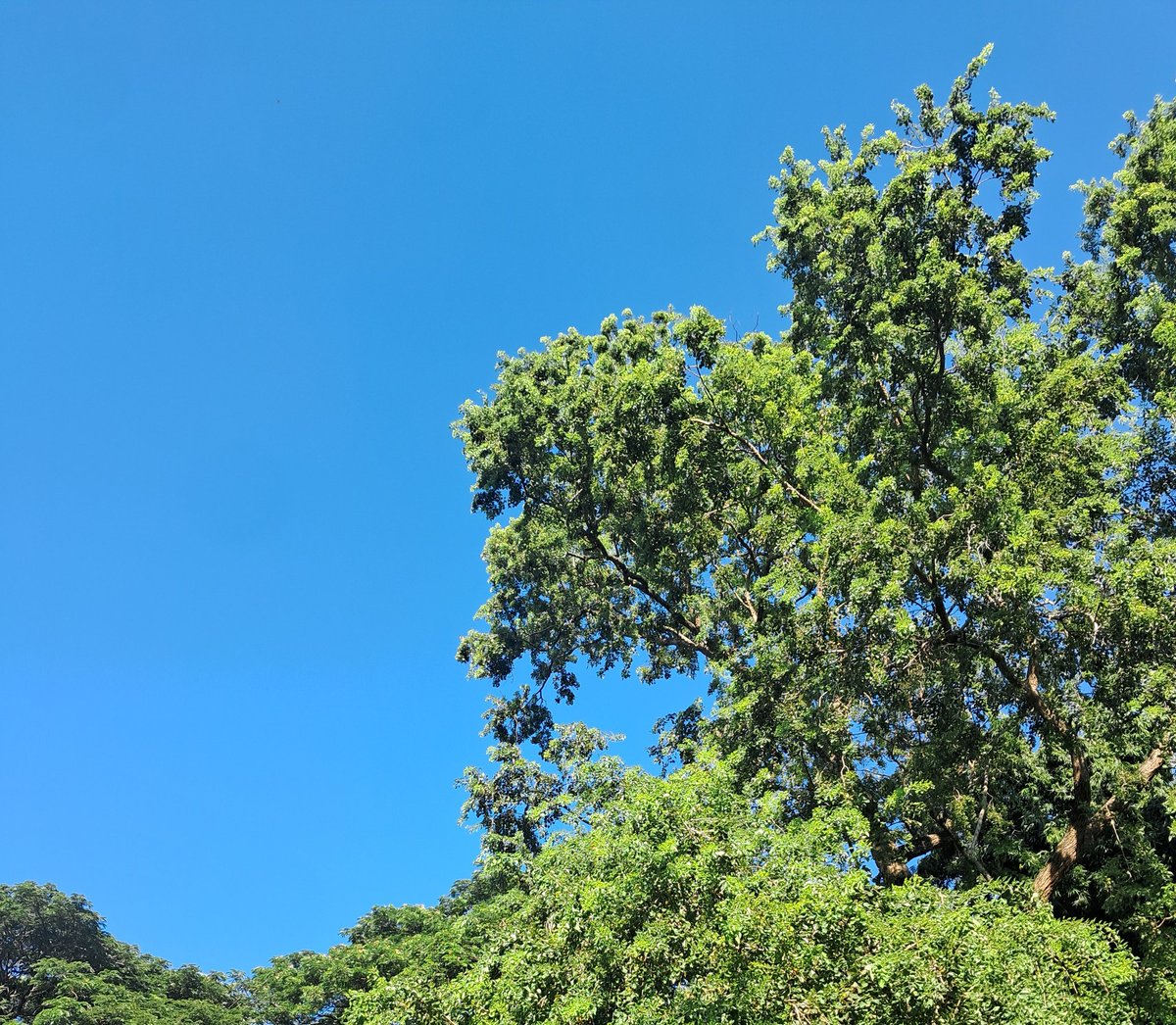 blue today/blue yesterday