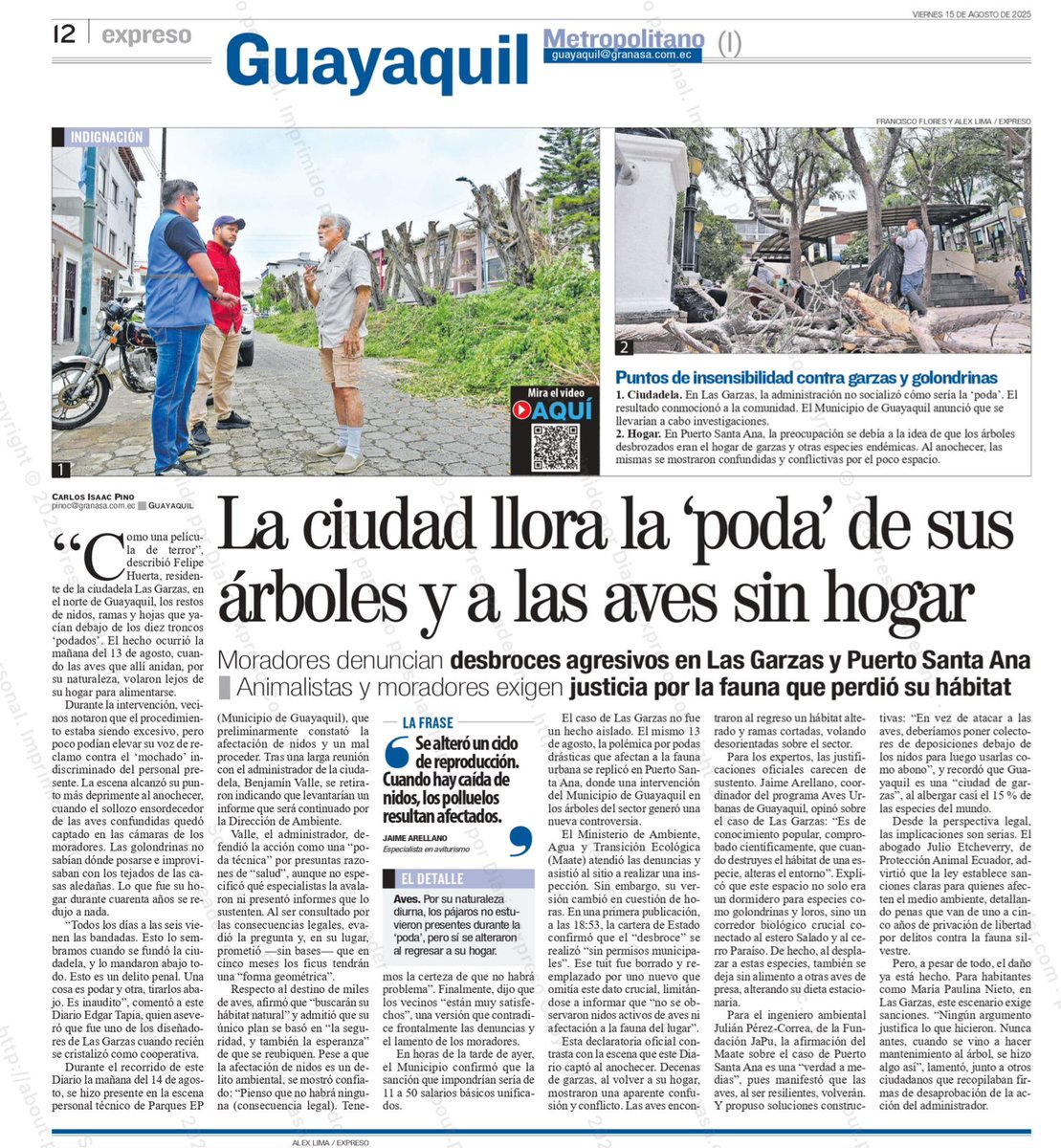 bita_marie's tweet photo. El presidente de la urbanización, Benjamín Valle, ignoró la ley y destruyó un hábitat entero.

Atentar contra la naturaleza es ilegal y cobarde. Exigimos sanción ejemplar y justicia ambiental. 🌳🦜🐿️ 4/4 https://t.co/wKA3C4KaZD