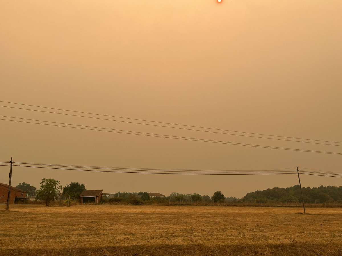 Sufridores De Renfe tweet media