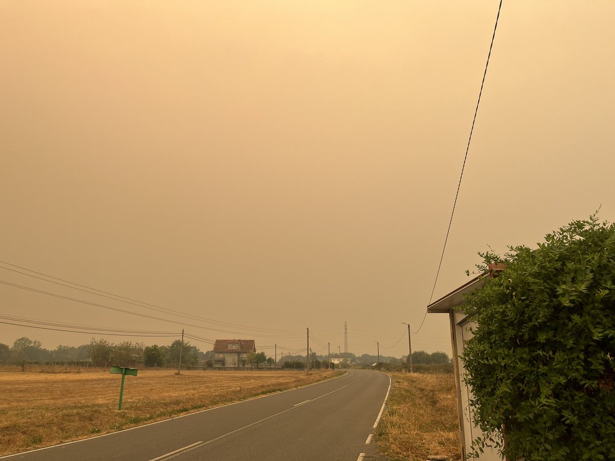 Sufridores De Renfe tweet media