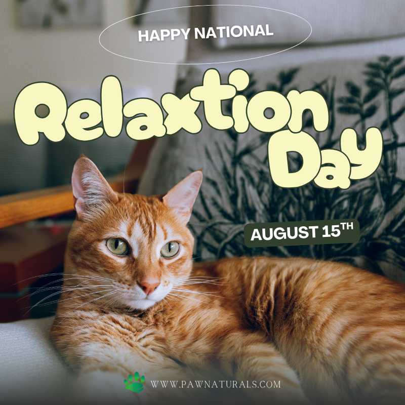 Paw_Naturals's tweet image. 🌟 Happy National Relaxation Day! 🌟 August 15th is all about embracing bliss &amp;amp; kicking back in style - Pj's &amp;amp; all!💖So let’s celebrate by taking a break &amp;amp; enjoying some well-deserved me time! #Relax #PJsAllDay #SelfCare monkeylink.co/492bef